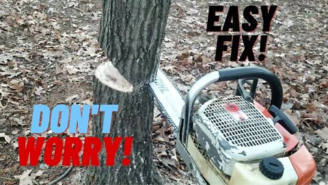 Chainsaw Pinched In Tree (Easy Solution)