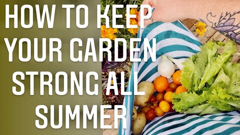 HOW TO HARVEST! AND HOW TO FINISH THE GROWING SEASON OFF STRONG & PRODUCTIVE | Gardening In Canada