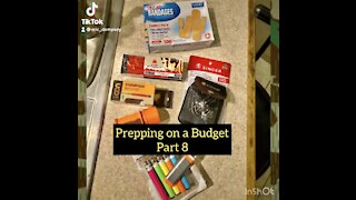 Prepping on a Budget Part 8