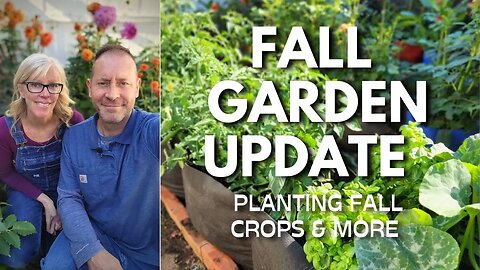 🌿Fall Garden Update: Planting Fall Crops & More 🥕 #fallgarden #gardenupdate #garden