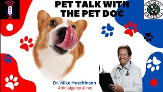 Pet Talk With The Pet Doc.