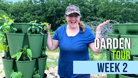 Garden Tour 2022: Week 2 | Oklahoma Zone 7b