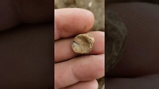 Bale seal?? #metaldetecting #short #civilwar #trending