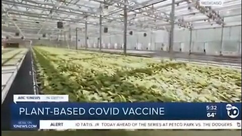 They are developing plant-based 'vaccines' intended to be seamlessly integrated into the food supply