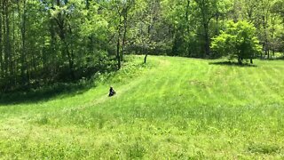 PW50 Hill Climb on the Backyard Grass Track