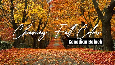 Chasing Fall Colors in Canada 2023 | Canadian Baloch Vlog