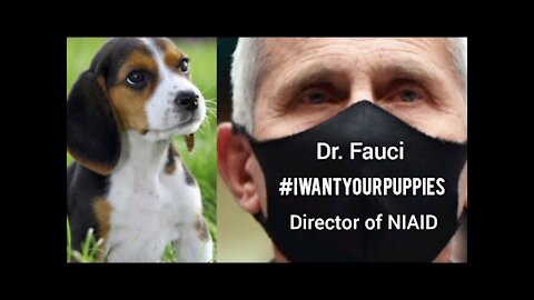 Not My Puppies Dr. Fauci!