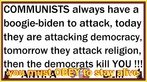 radical domestic insurgents democrat party