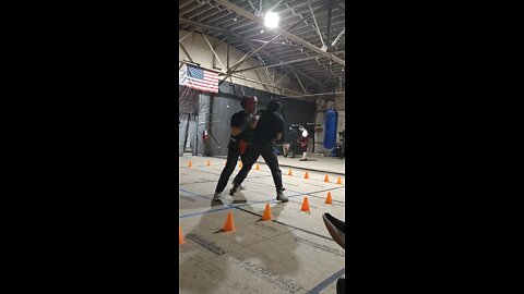 Sparring a young Lion