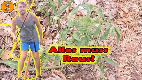 Die große Auspflanzung im Mai 🌱 Rundgang im Permakulturgarten