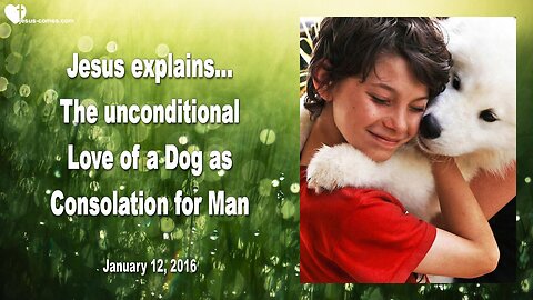 Jan 12, 2016 ❤️ Jesus explains... The unconditional Love of a Dog as Consolation for Man