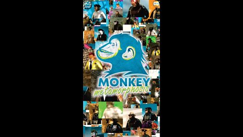#nftcommunity NFT collection monkey metamorphosis #shorts