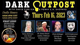 Dark Outpost 02.16.2023 Was A So-Called Expert A Deep Fake?
