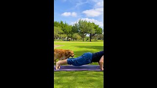 When Dogs Attack: Fitness Video Edition