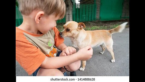 Pawsitively Adorable: The Cutest Dog and Kid Duos You'll Ever See"