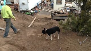 Greenhouse Footings #4