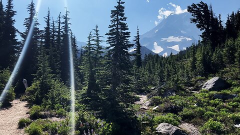 Arriving @ GORGEOUS McNeil Point Trail Junction! | Timberline Mount Hood Wilderness | 4K | Oregon