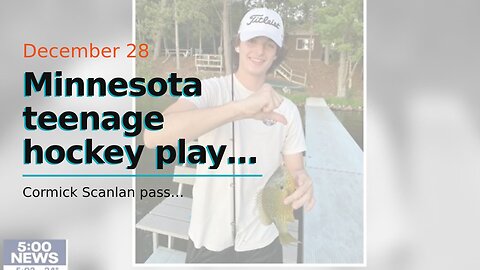 Minnesota teenage hockey player dies on Christmas after stroke…
