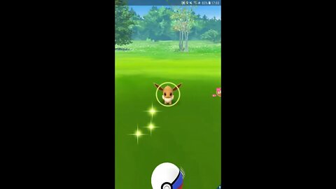 Live de Pokémon GO