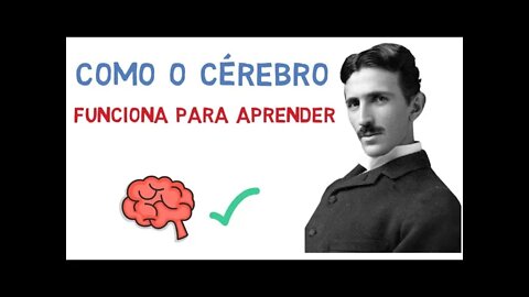 COMO O CÉREBRO FUNCIONA para aprender | Saiba como aprender qualquer coisa (Psicologia)