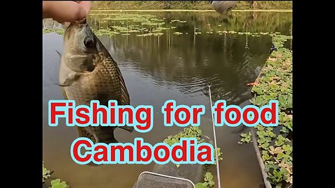 Fishing for Food in Cambodia Do you know before.