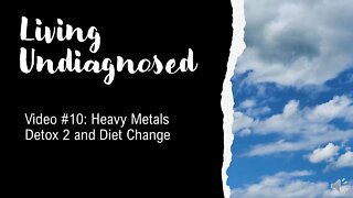 Living Undiagnosed Video 10: Heavy Metals Detox #2 and Diet Change