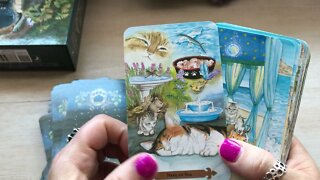 Unboxing Mystical Cats Tarot by Linaea Weatherstone