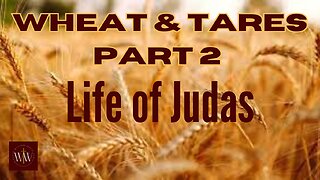 Wheat and tares part 2! The Life of Judas.