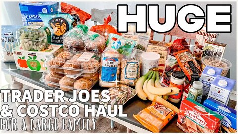 HUGE TRADER JOES AND COSTCO GROCERY HAUL FOR A LARGE FAMILY | HEALTHY SHOPPING ON A BUDGET