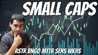 Small Cap Update - Bngo Mttr Wkhs ....