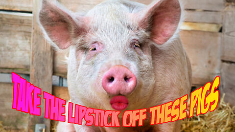 Take The Lipstick OFF These Pigs