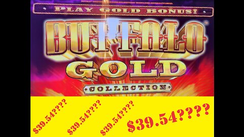 $39.54 win on Buffalo Gold Collection at Easy Street Casino in Central City, Colorado