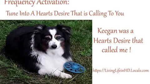 Frequency Activation: Tune Into A Hearts Desire Creation That is Calling To You...