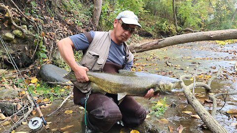 Milwaukee River Salmon Fishing Fall 2021 (Short 1)