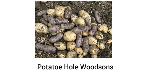 Potatoe Hole Woodson