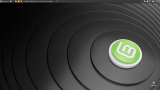 Linux Mint 20 XFCE Windows 10 Slayer