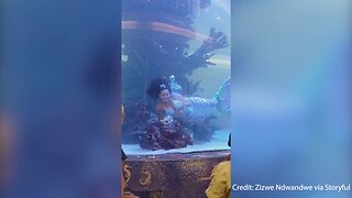 Quick Thinking 'Mermaid' Escapes Drowning After Tail Gets Caught In Aquarium Tank