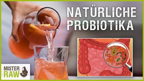 Natürliche Probiotika | Fermentation | Wasserkefir & Kombucha