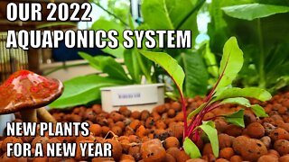 Our Aquaponics System A New Year & New Plants