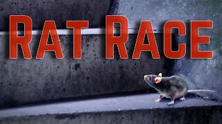 Rat Race