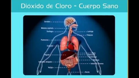 EXPLICACION DE COMO FUNCIONA EL DIOXIDO DE CLORO CUANDO ENTRA EN NUESTRO CUERPO