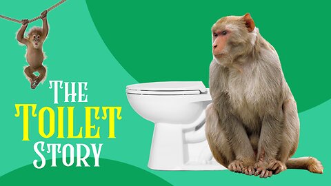 🙈Monkey The Toilet Story 🚽