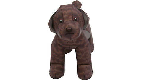 Paper toy poodle dog/Perro caniche de juguete de papel/Cachorro poodle toy de papel