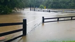 The rising flood waters. The fences were completely covered and the horses saved from this paddock