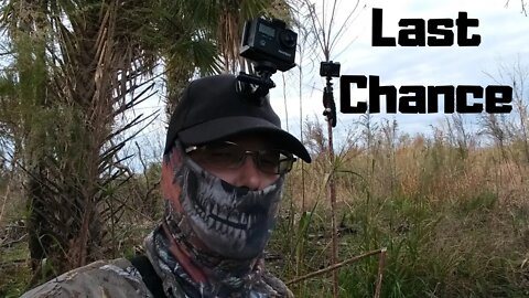 Blind Guy's last chance at a hog! Did we finally get our pig? Final day Florida boar hunting.