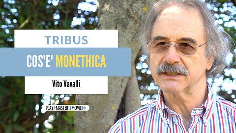 Cos'è Monethica - Vito Vavalli