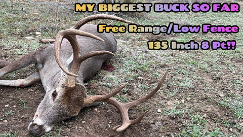 135 INCH 8 POINT WHITETAIL BUCK. LOW FENCE/FREE RANGE TEXAS DEER!!! #hunting