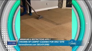 Best Carpet Cleaners // Zerorez