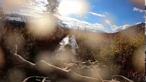 4 wheeler hunting Alaska pt.2