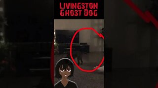 Livingston Ghost Dog.😨🐶😨 #scary #haunted #creepy #paranormal #ghost #animals #shorts
